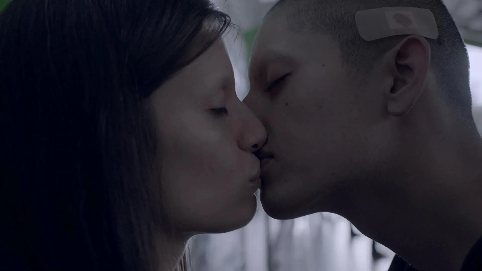 50 or Two Whales Meet at the Beach