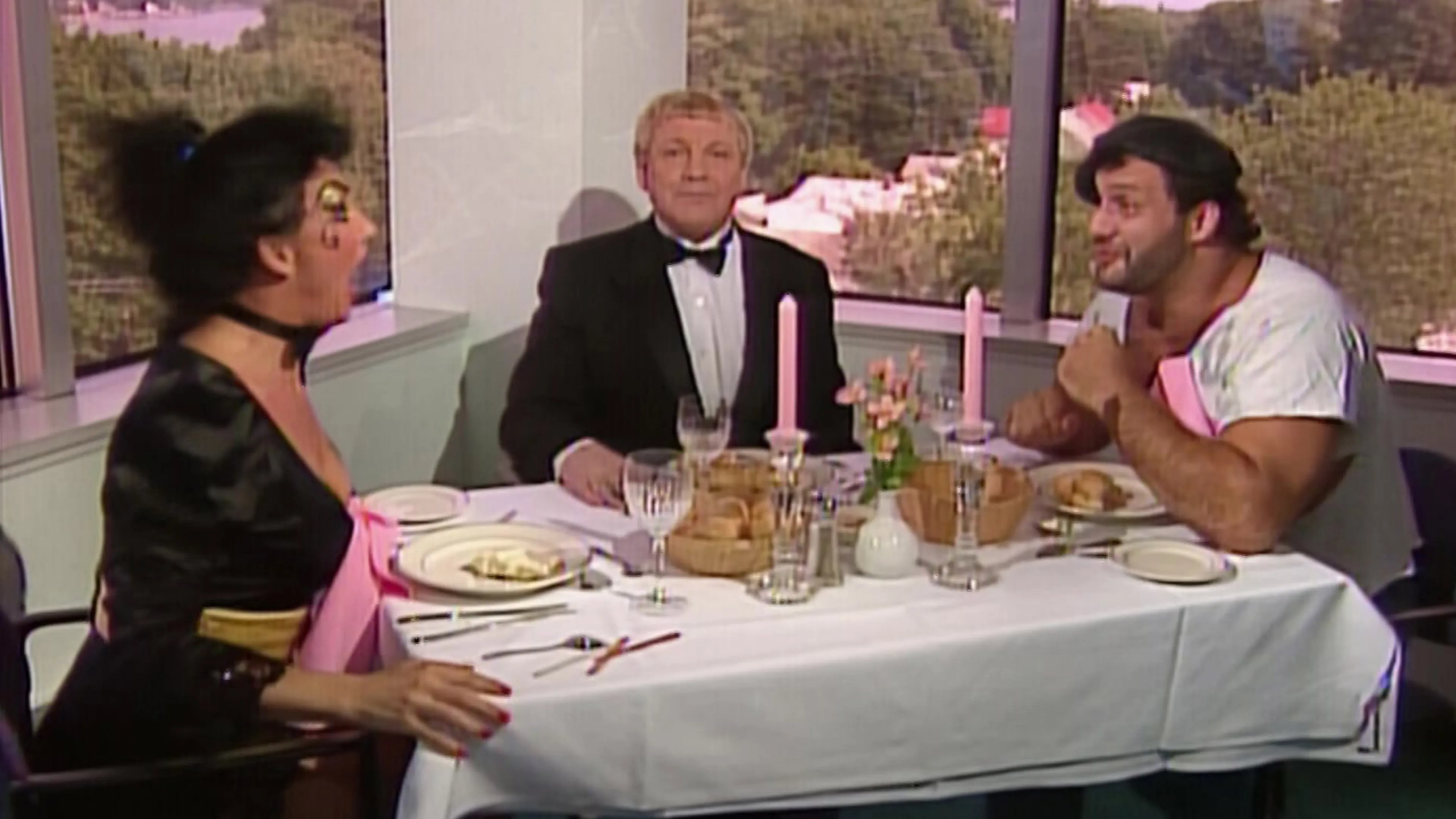 WWE World Tour 1991