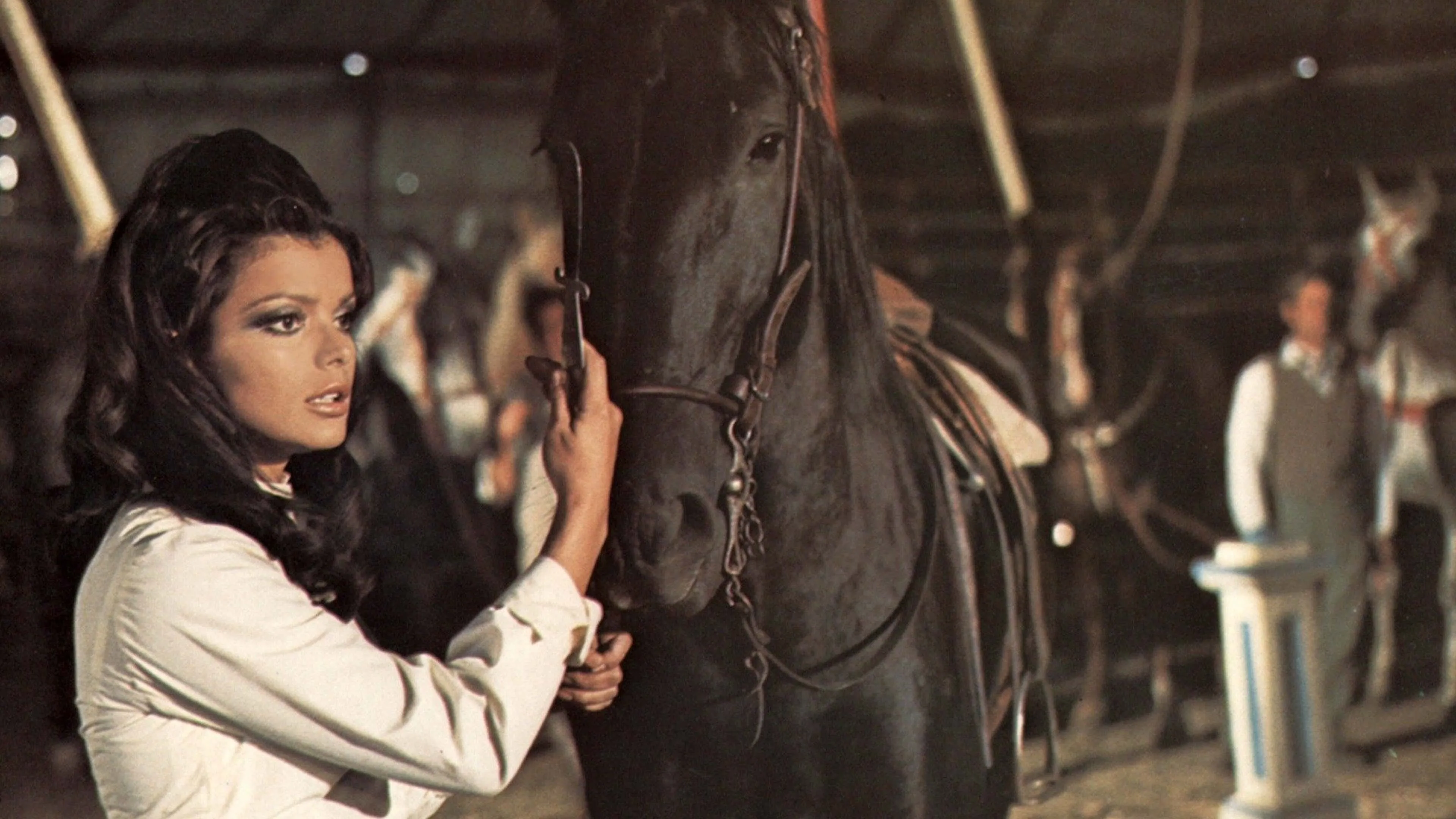 Black Beauty