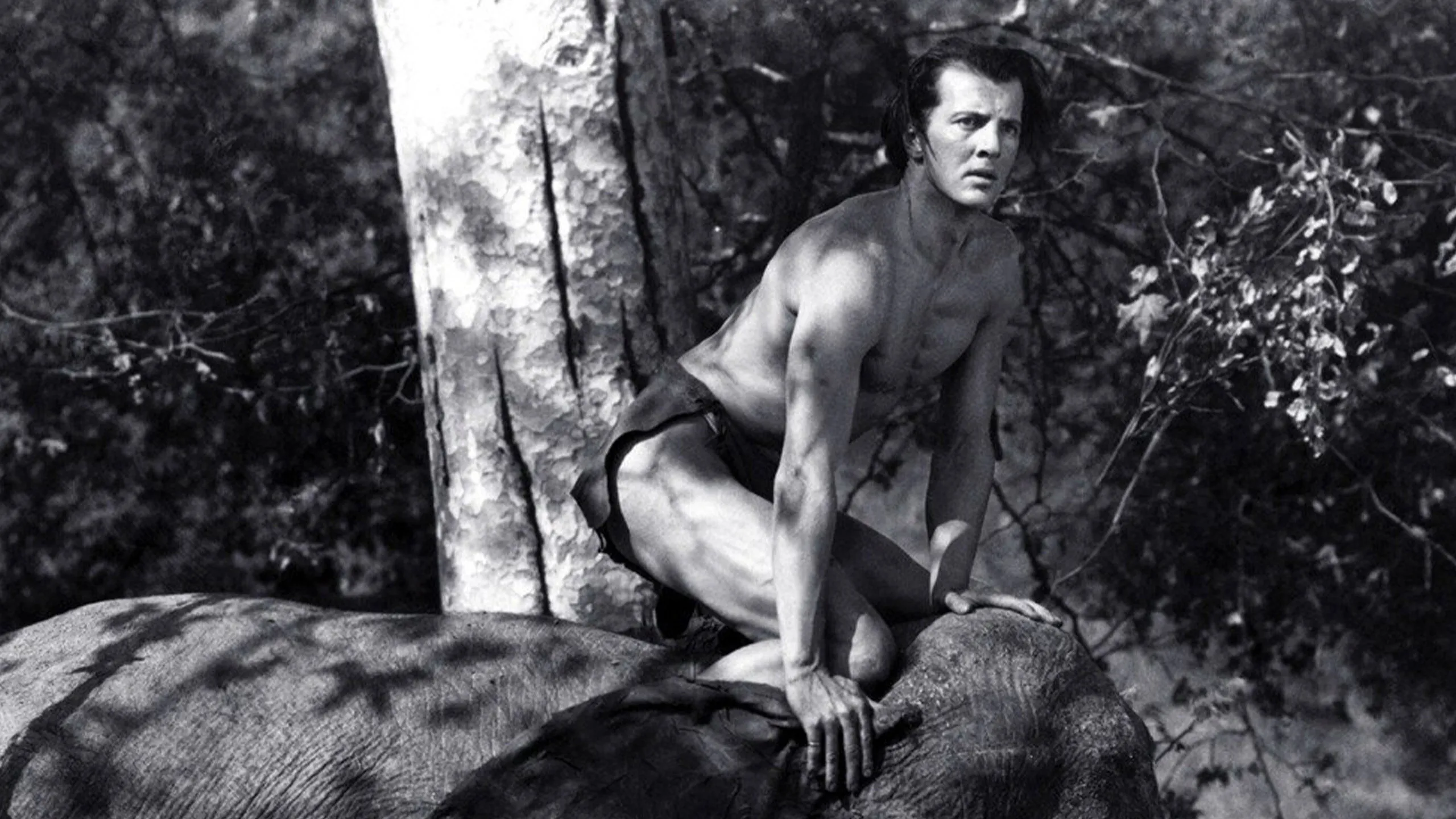 Tarzan and the Green Goddess