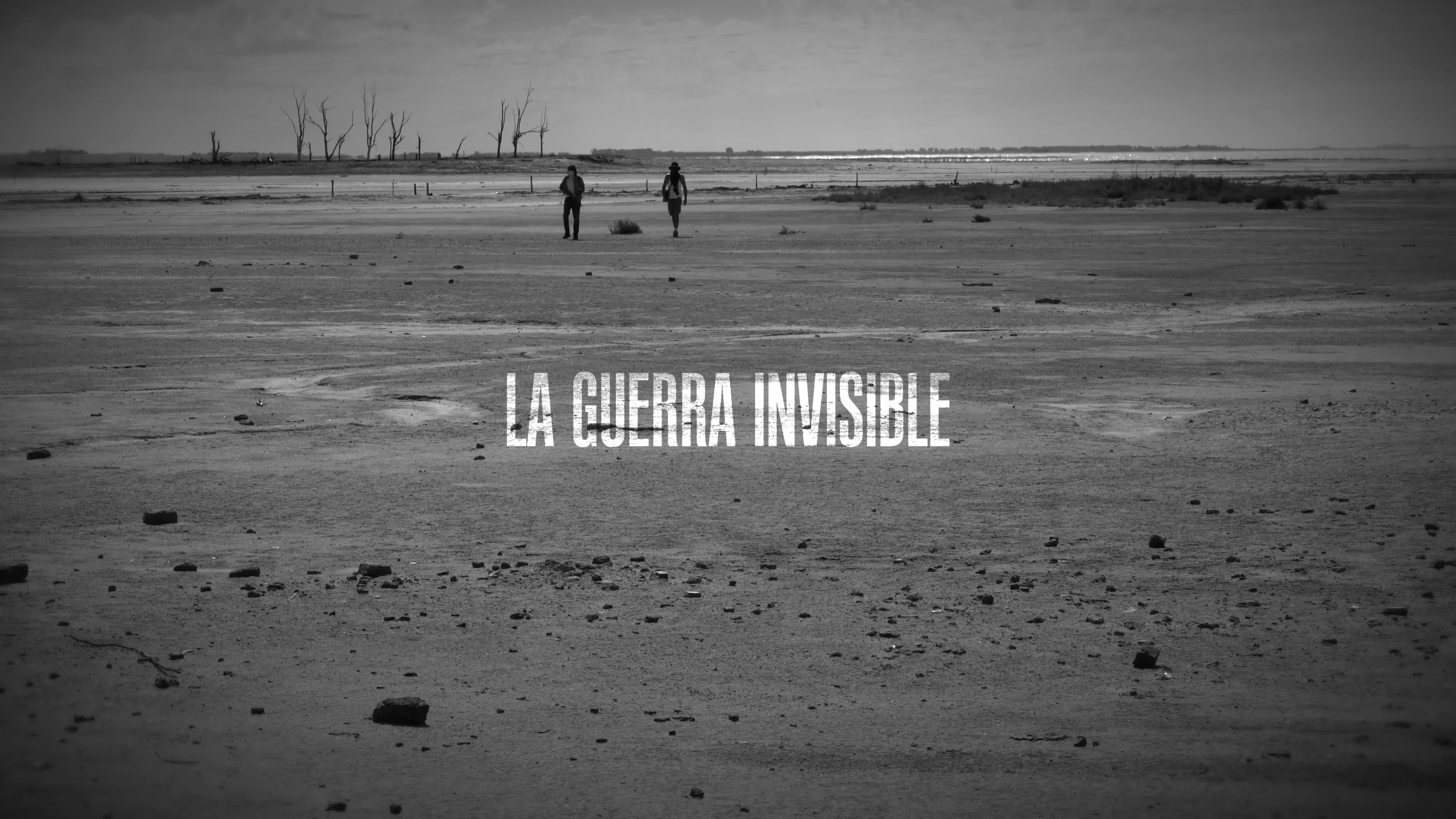 The Invisible War