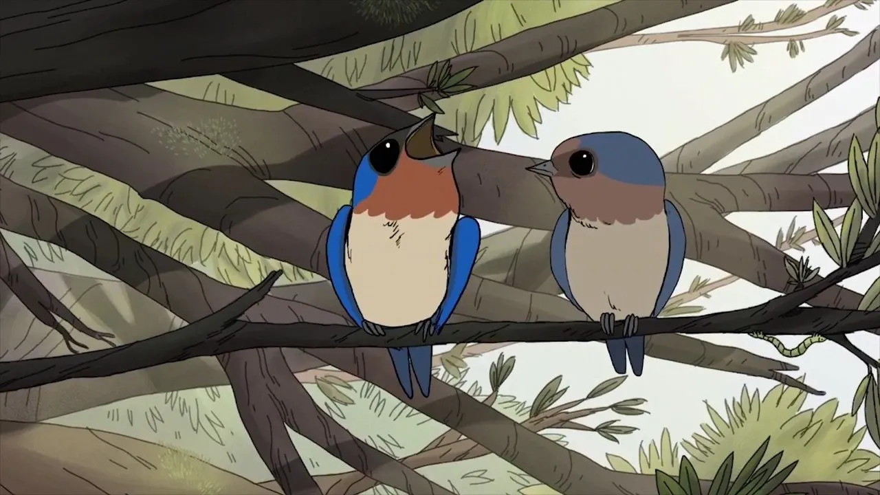 Birds