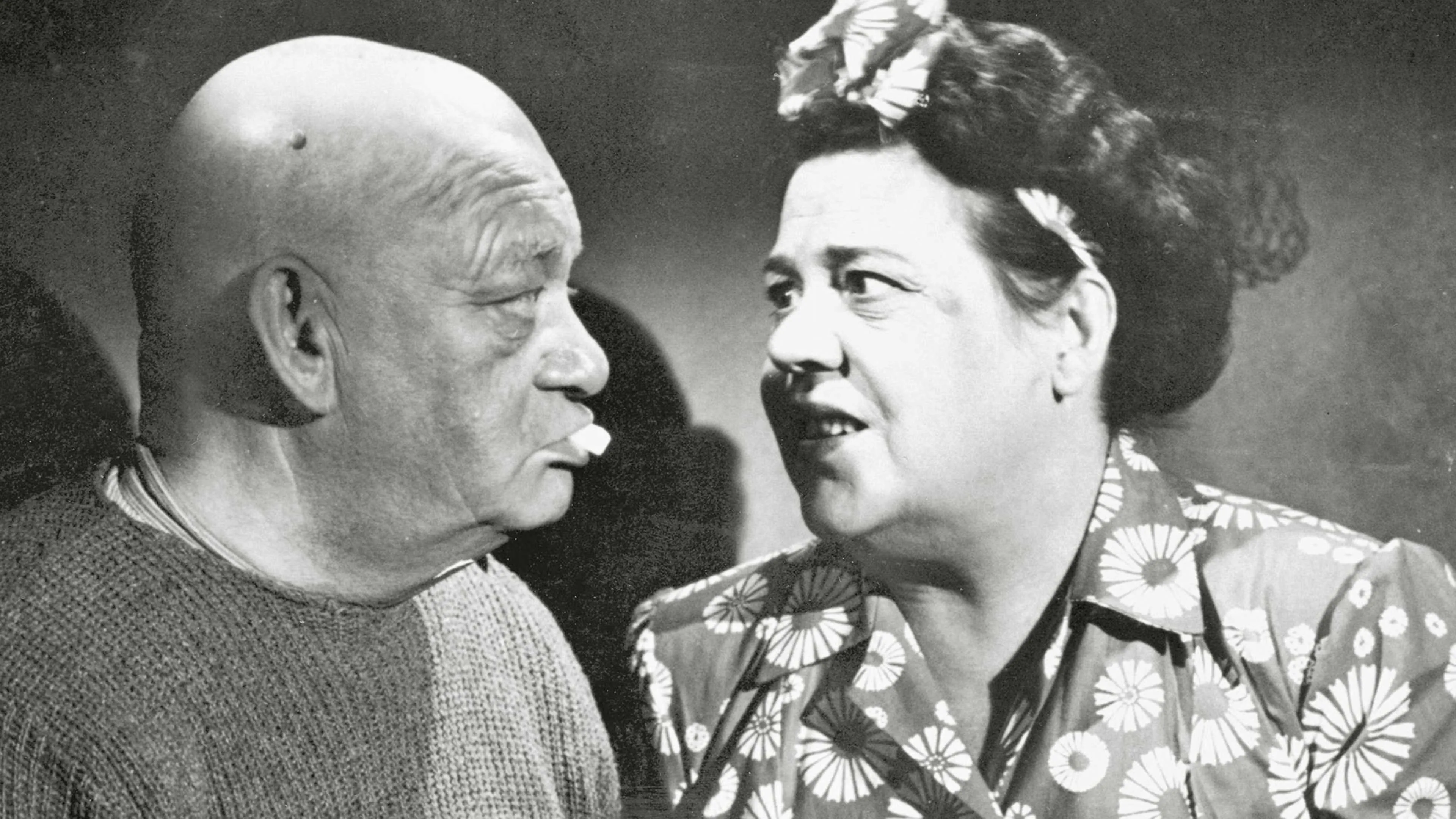 Me tulemme taas