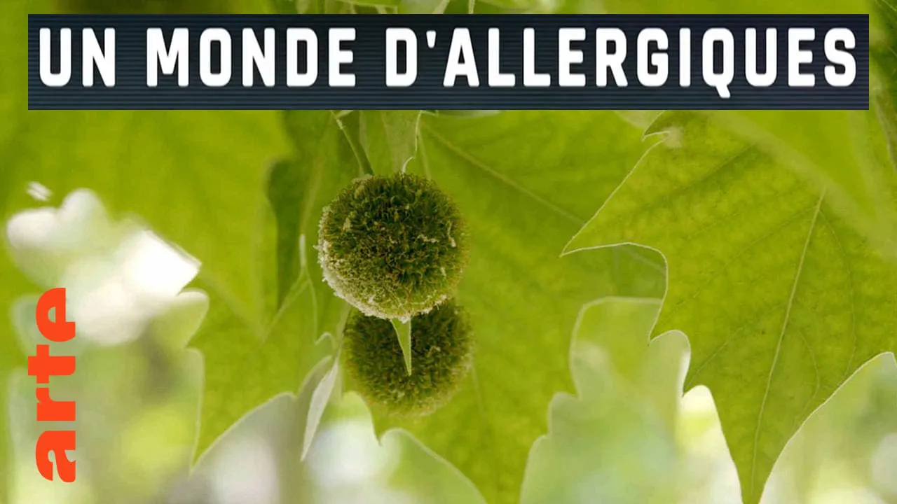 Un monde d'allergiques