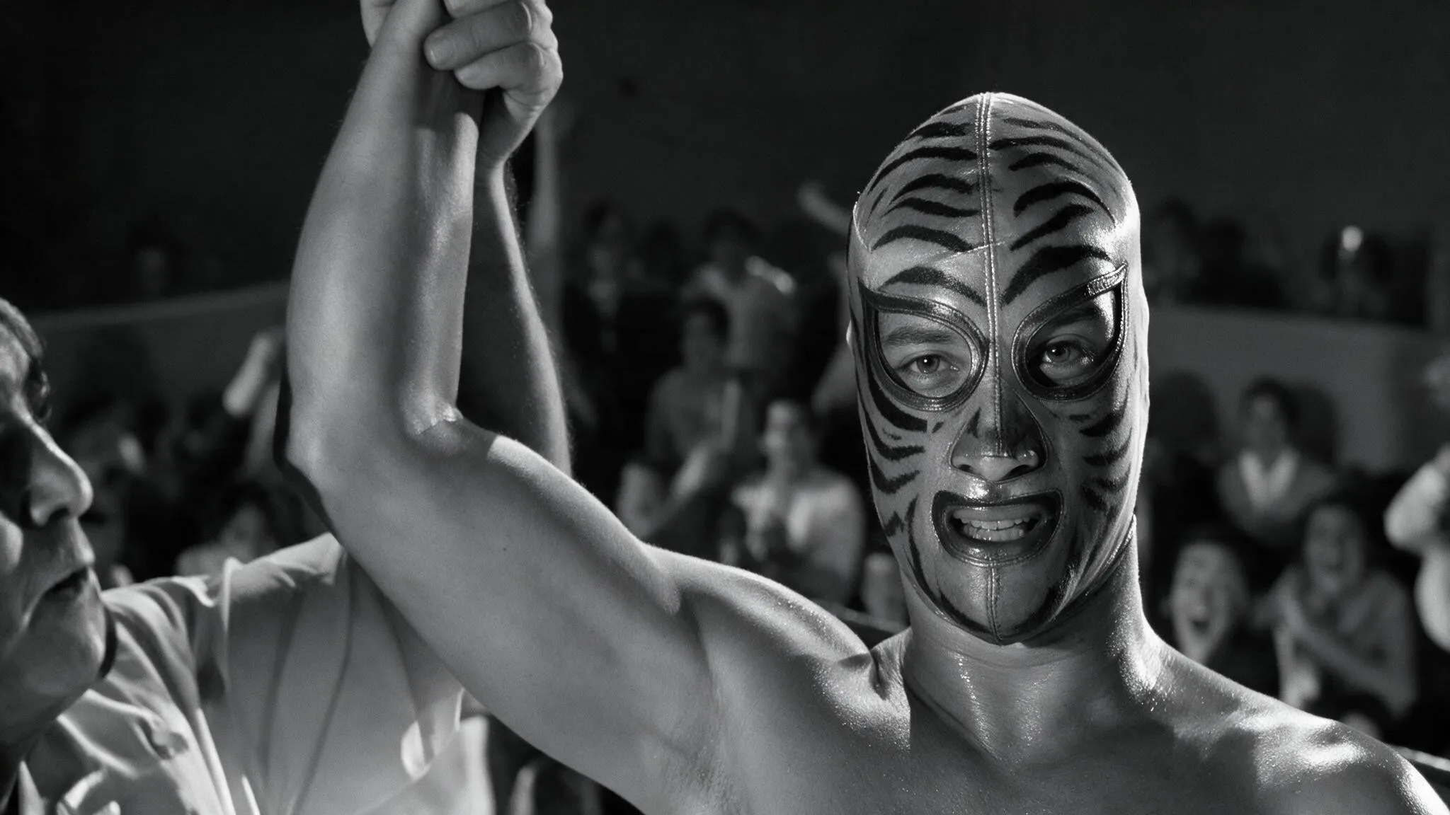 Los tigres del ring
