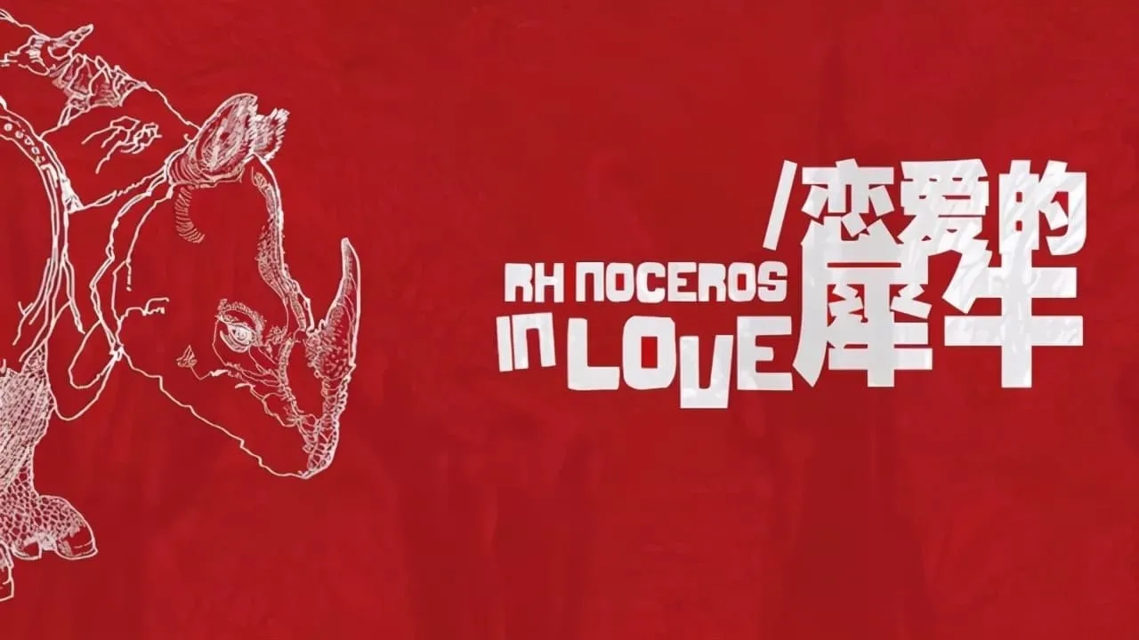 Rhinoceros in Love