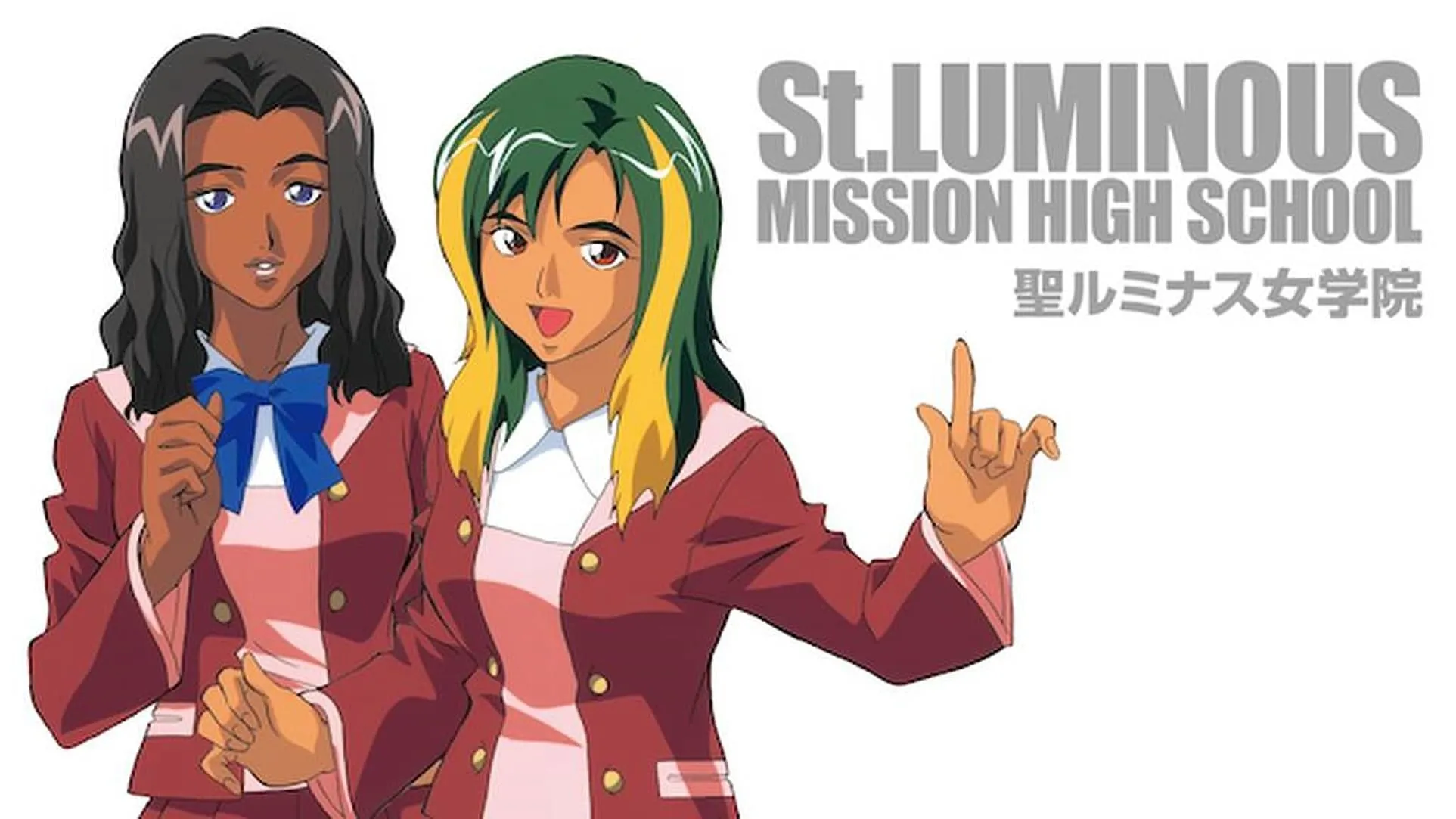 St. Luminous Mission High School