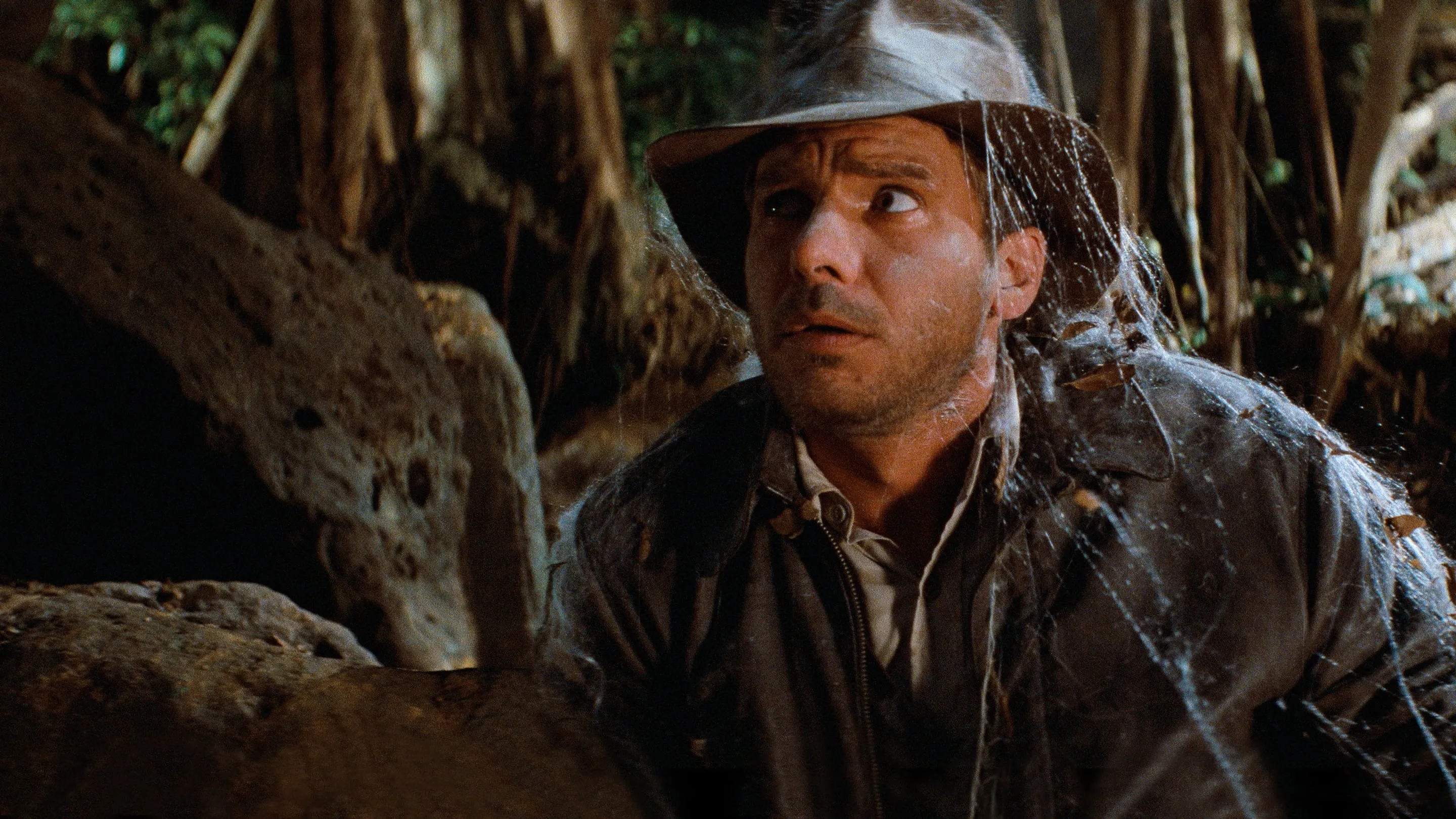 Raiders of the Lost Ark