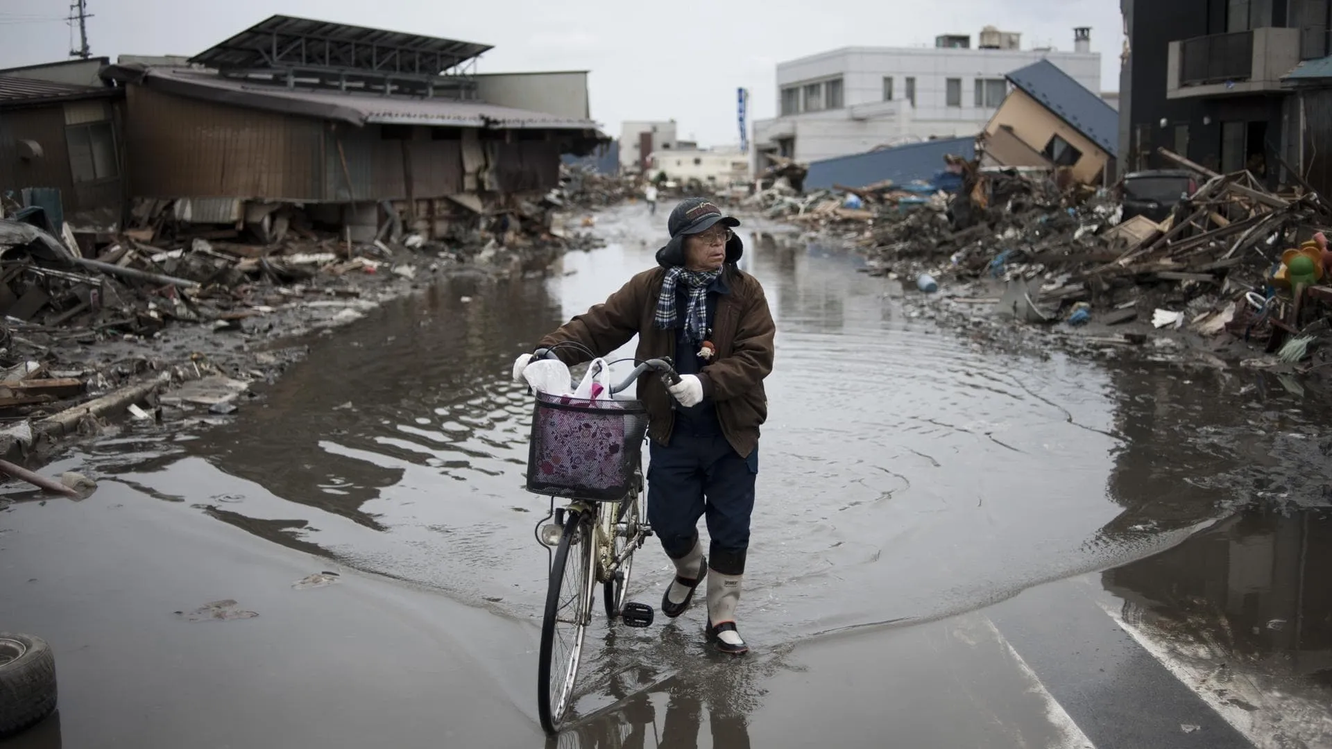 Japan's Killer Quake