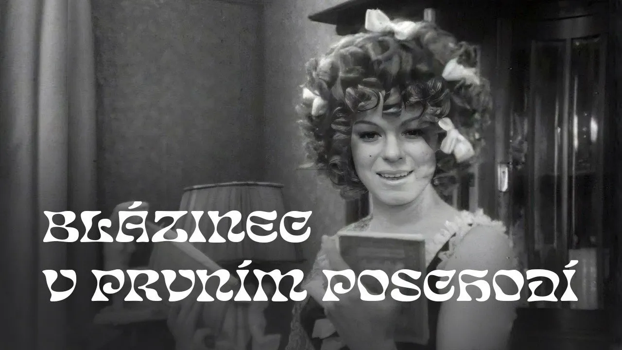 Blázinec v 1. poschodí