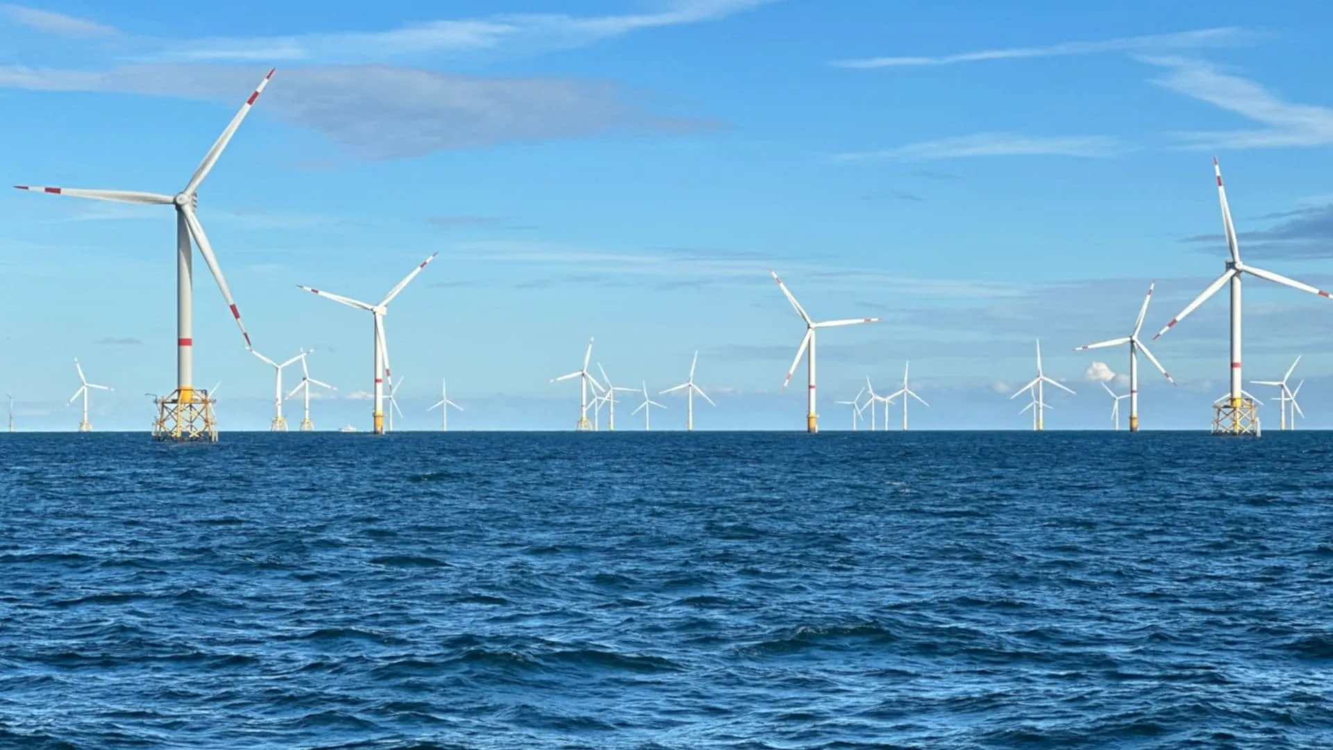 Windparks im Meer - Chance oder Risiko für die Natur?