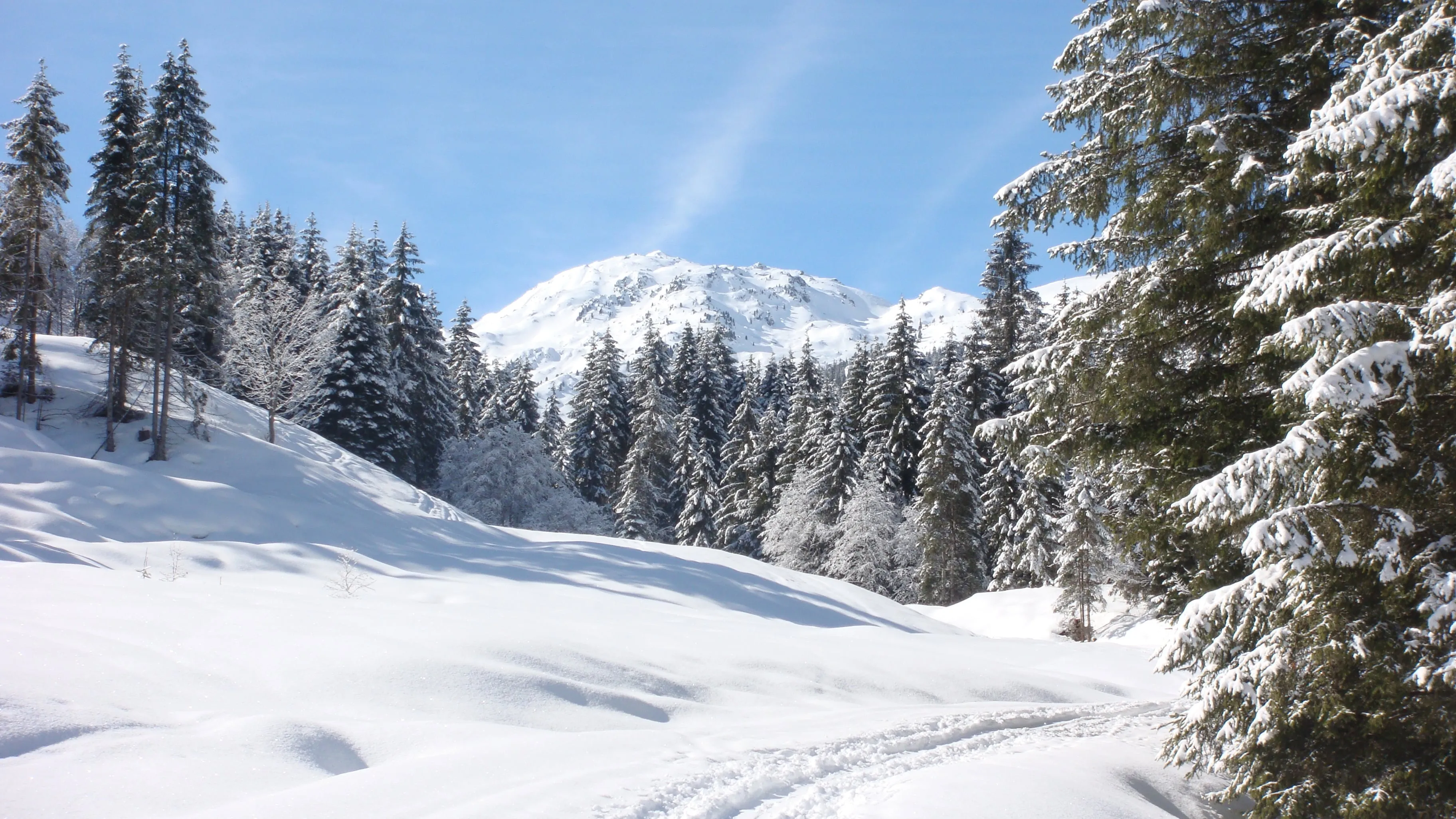 Weißblaue Wintergeschichten