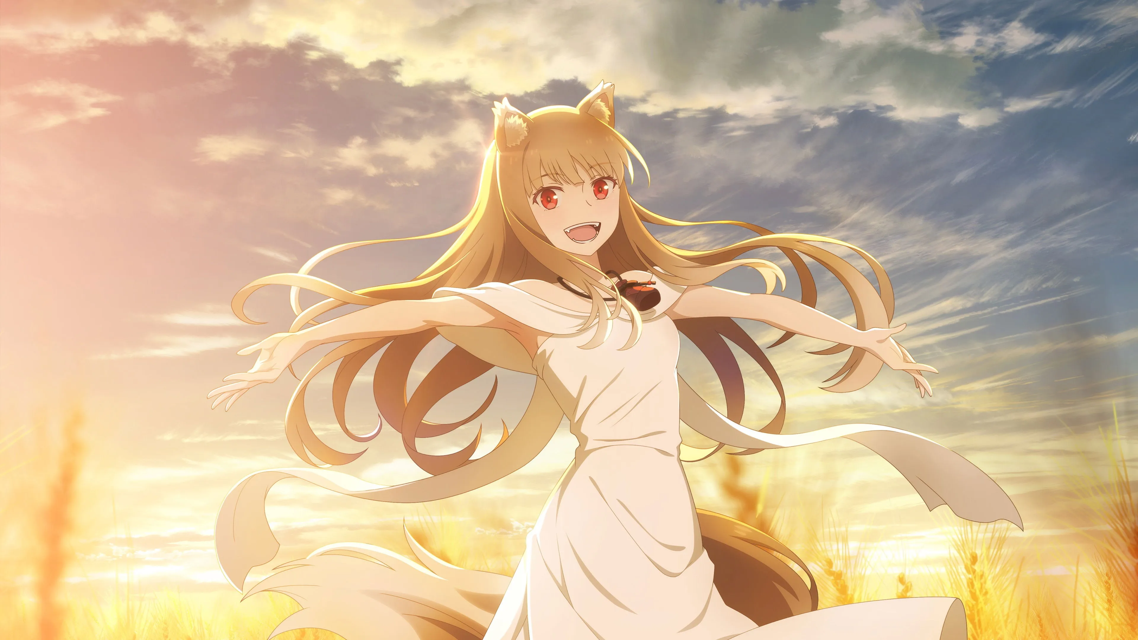 Spice and Wolf: MERCHANT MEETS THE WISE WOLF