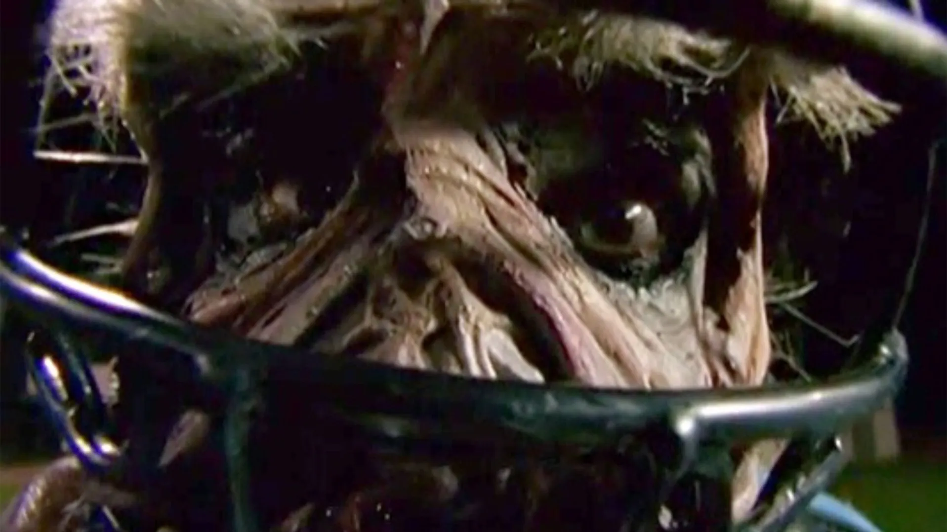 Goosebumps: Chillogy