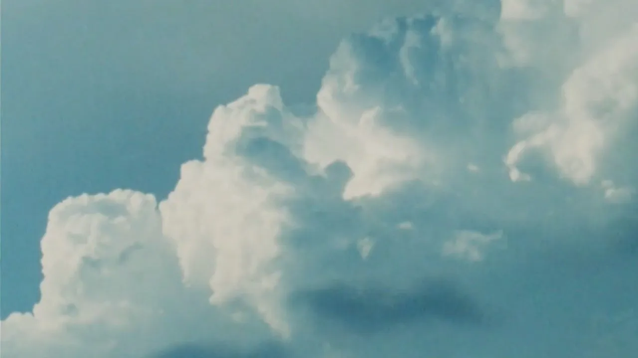 Petrichor