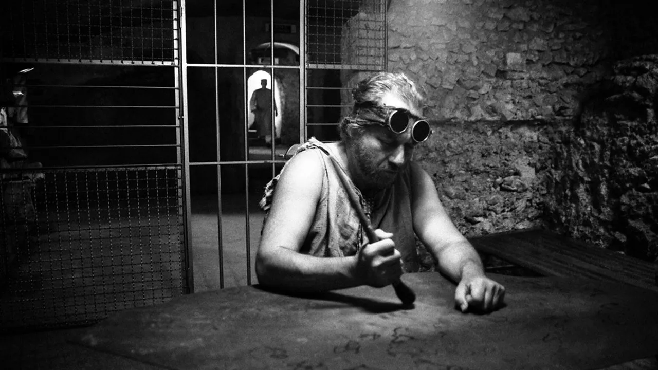 Il ronzio delle mosche