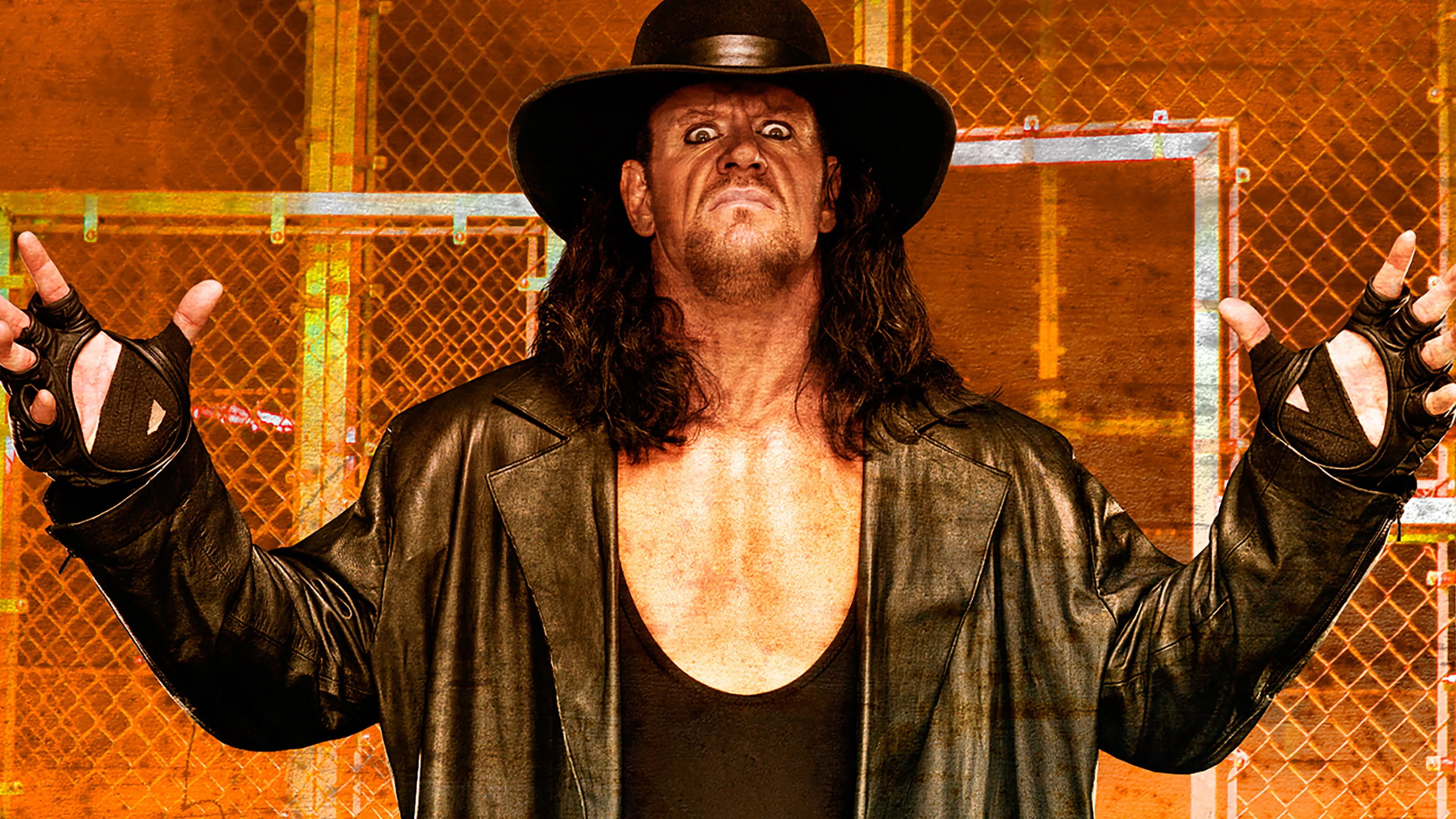 WWE Hell in a Cell 2009