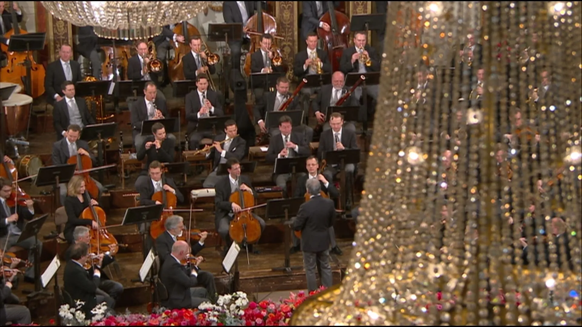 New Year's Concert: 2016 - Vienna Philharmonic