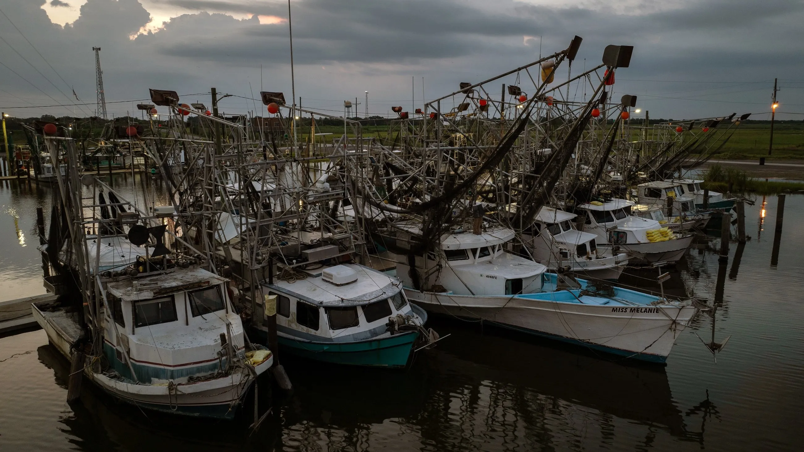Last of the Shrimpers