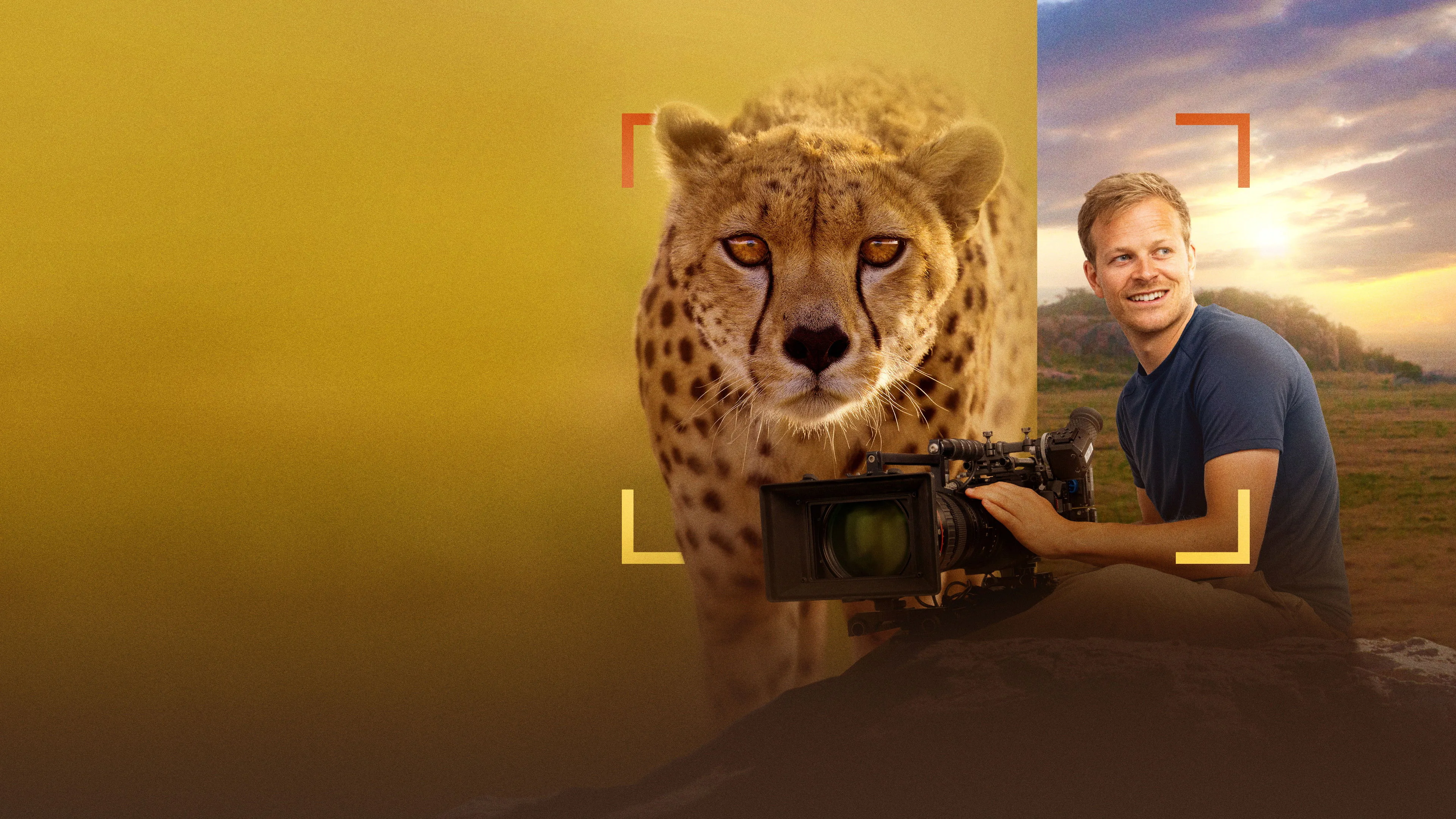 Cheetahs Up Close with Bertie Gregory