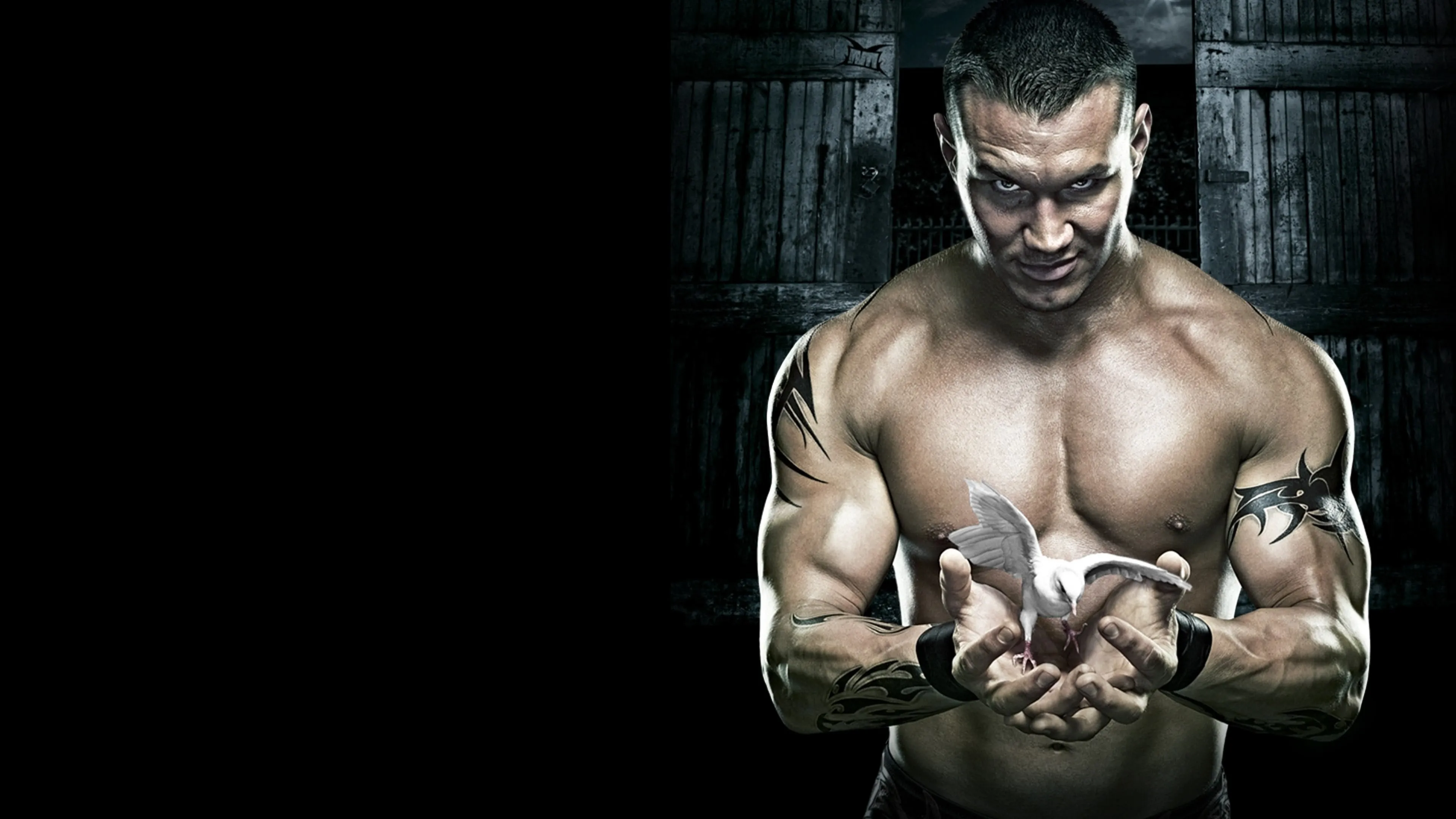 WWE No Mercy 2007