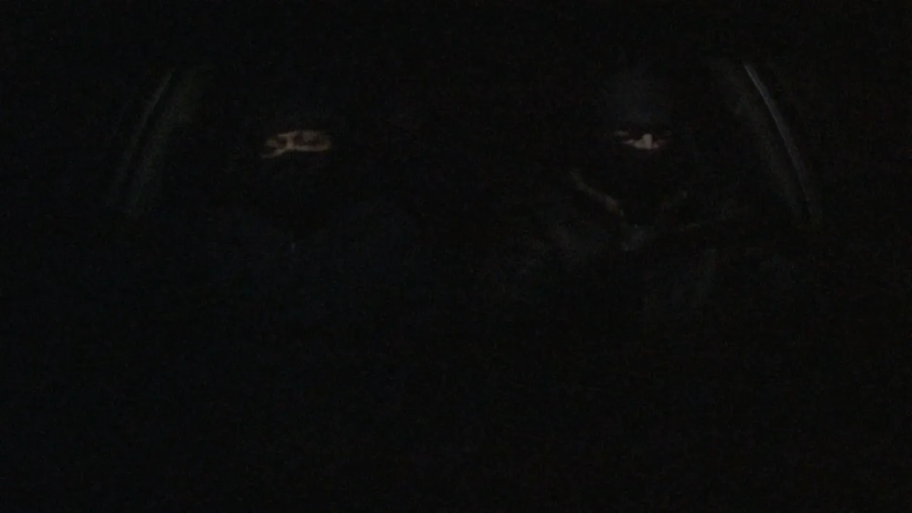 The Wolves