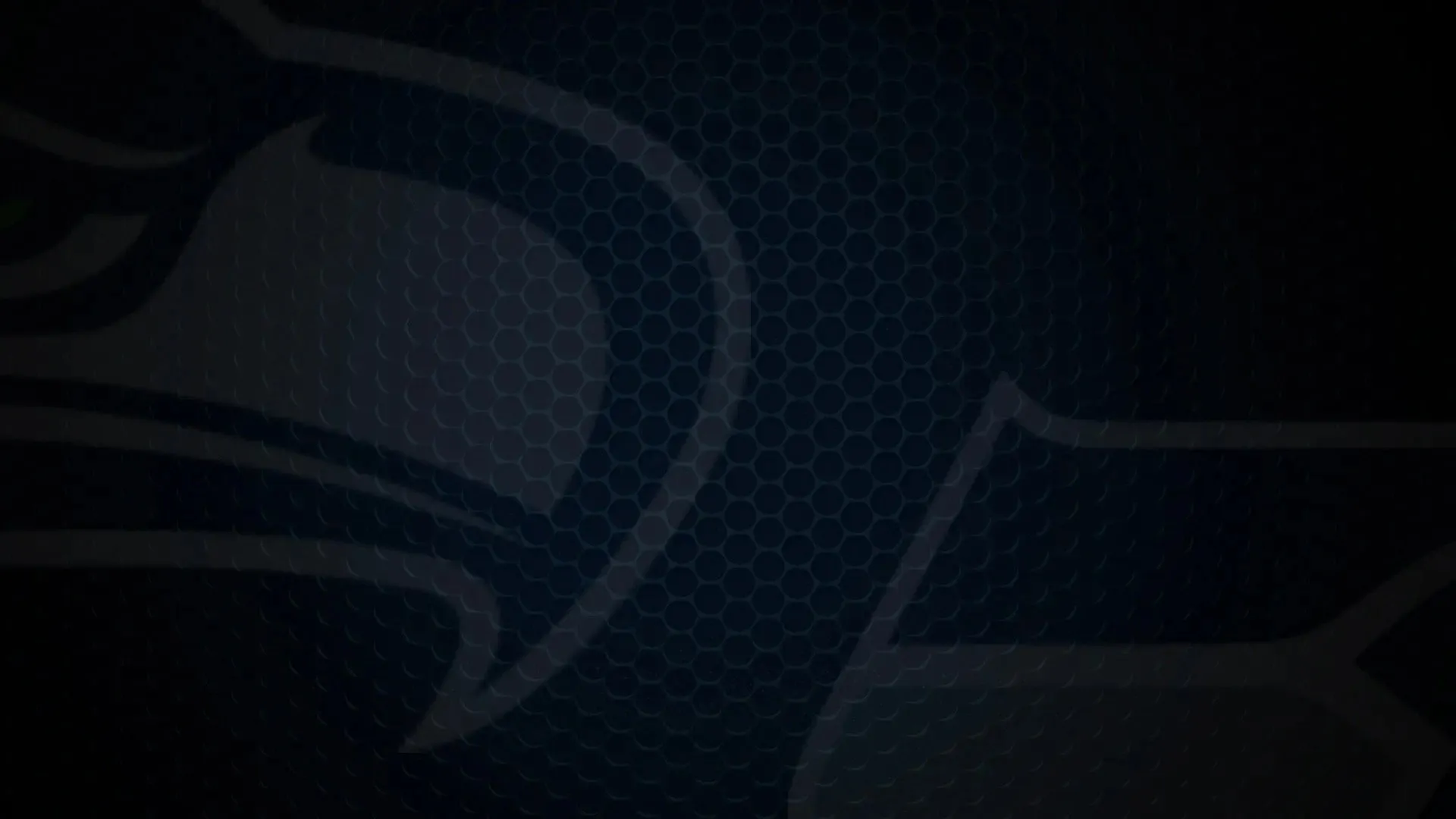 Super Bowl Champions: The 2025 Seattle Seahawks