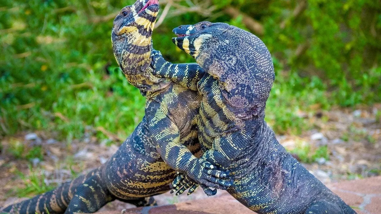 Au cœur de l'Australie sauvage