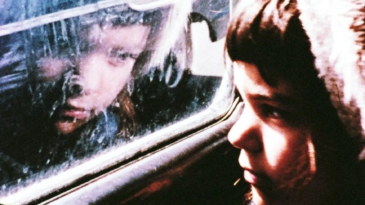 Scenes from Under Childhood, Section Four