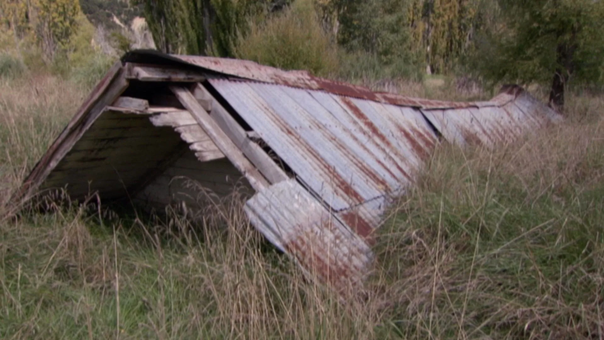 Saving Grace - Te Whakarauora Tangata