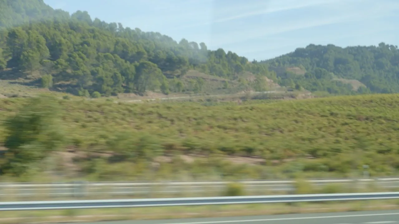 Homeland