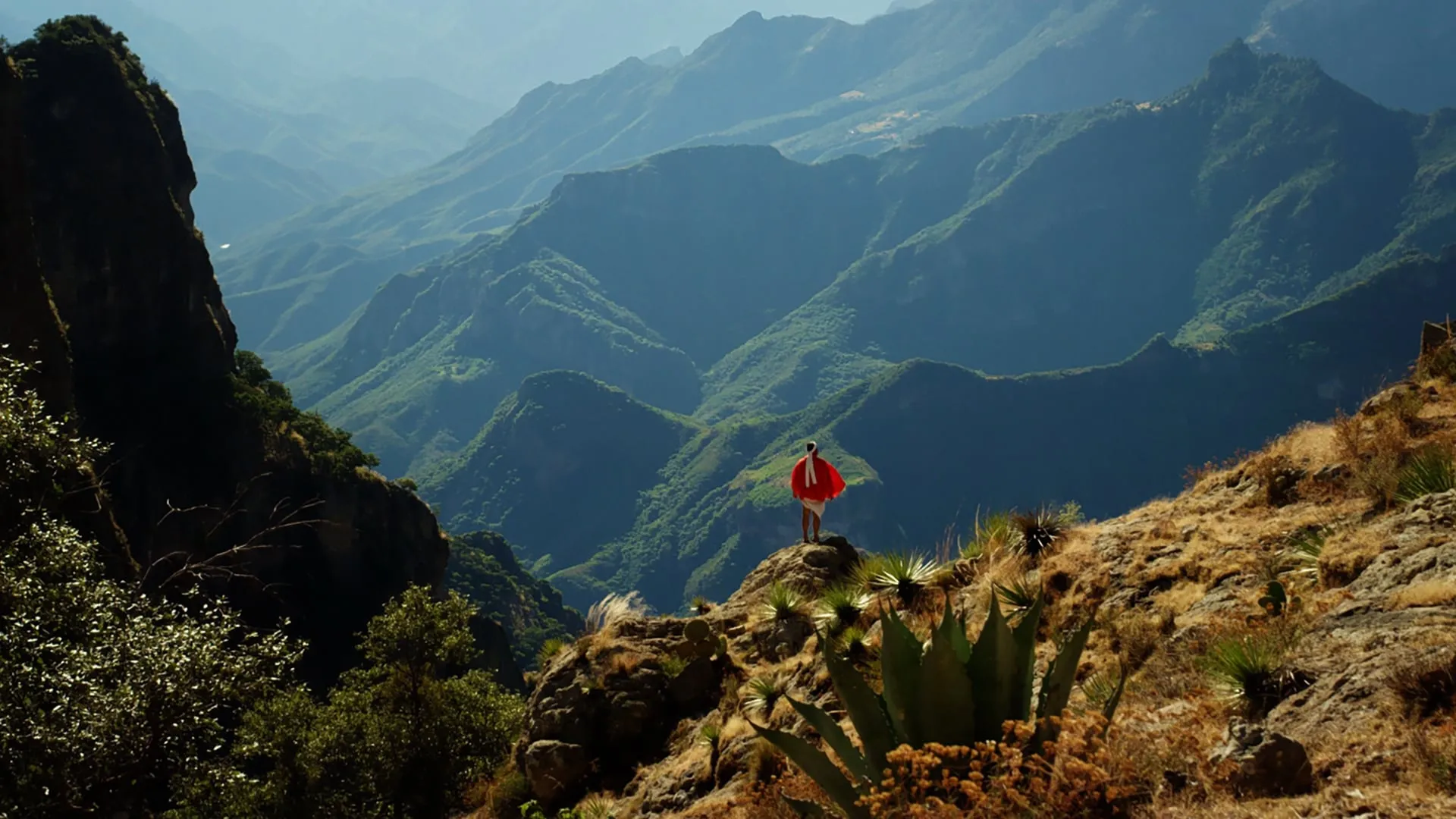 Mexico: Earth's Festival of Life