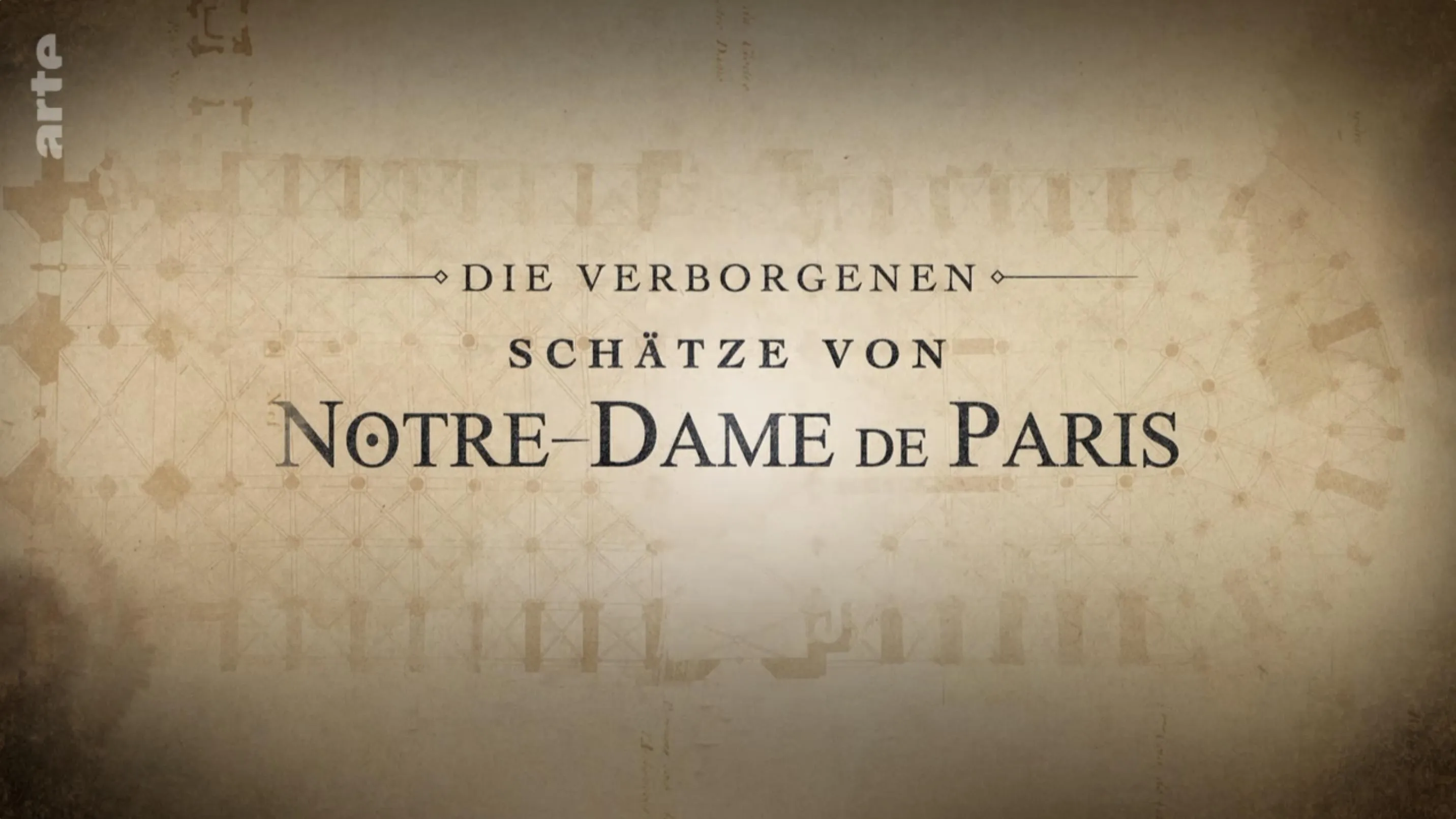 Enquête sur les trésors enfouis de Notre-Dame de Paris