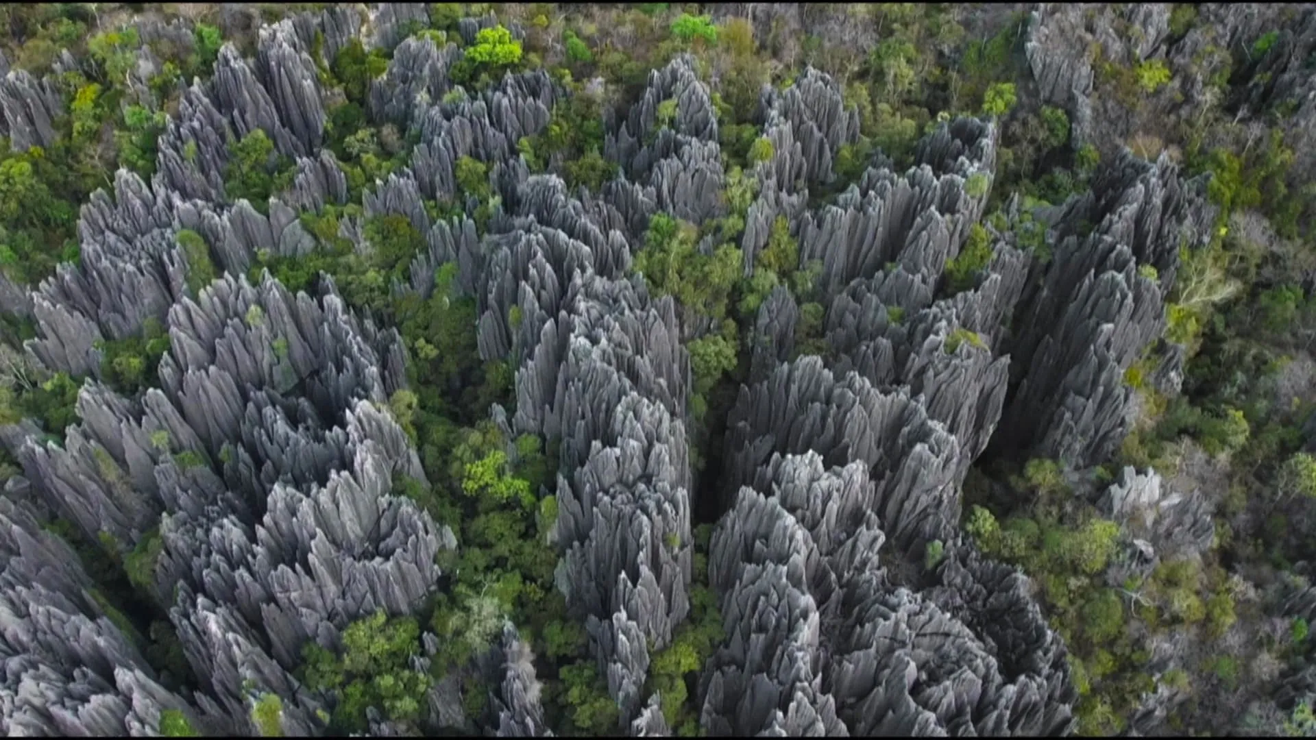 L'histoire secrète des paysages