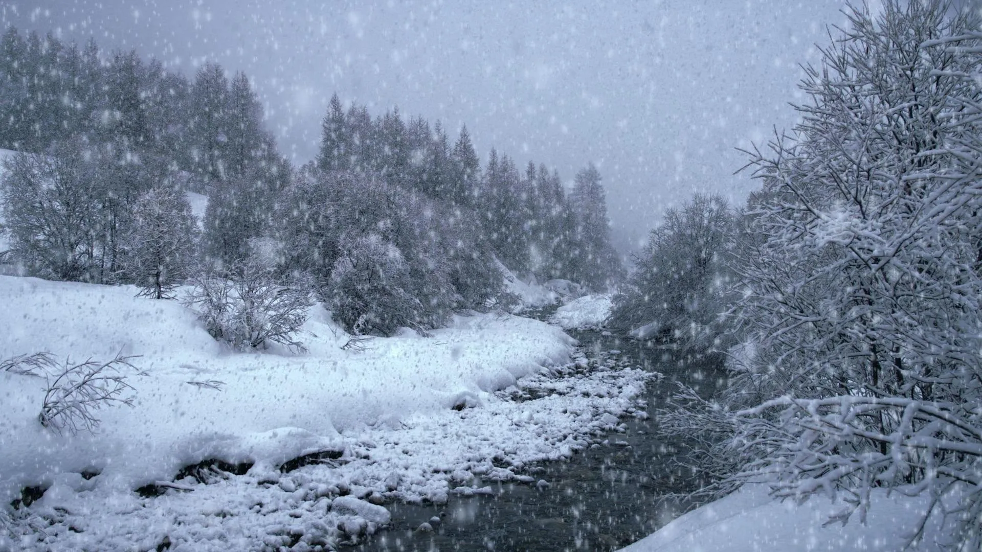 The Search for Snow