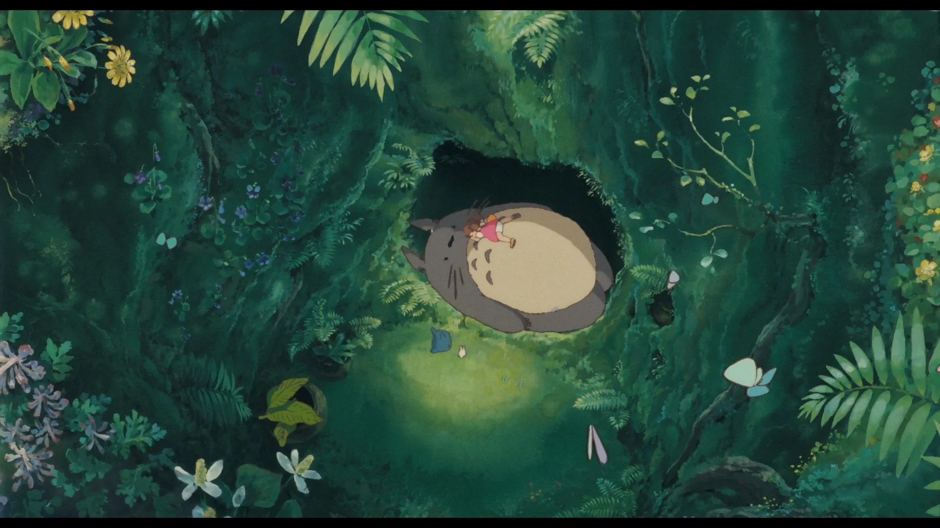 Miyazaki, Spirit of Nature