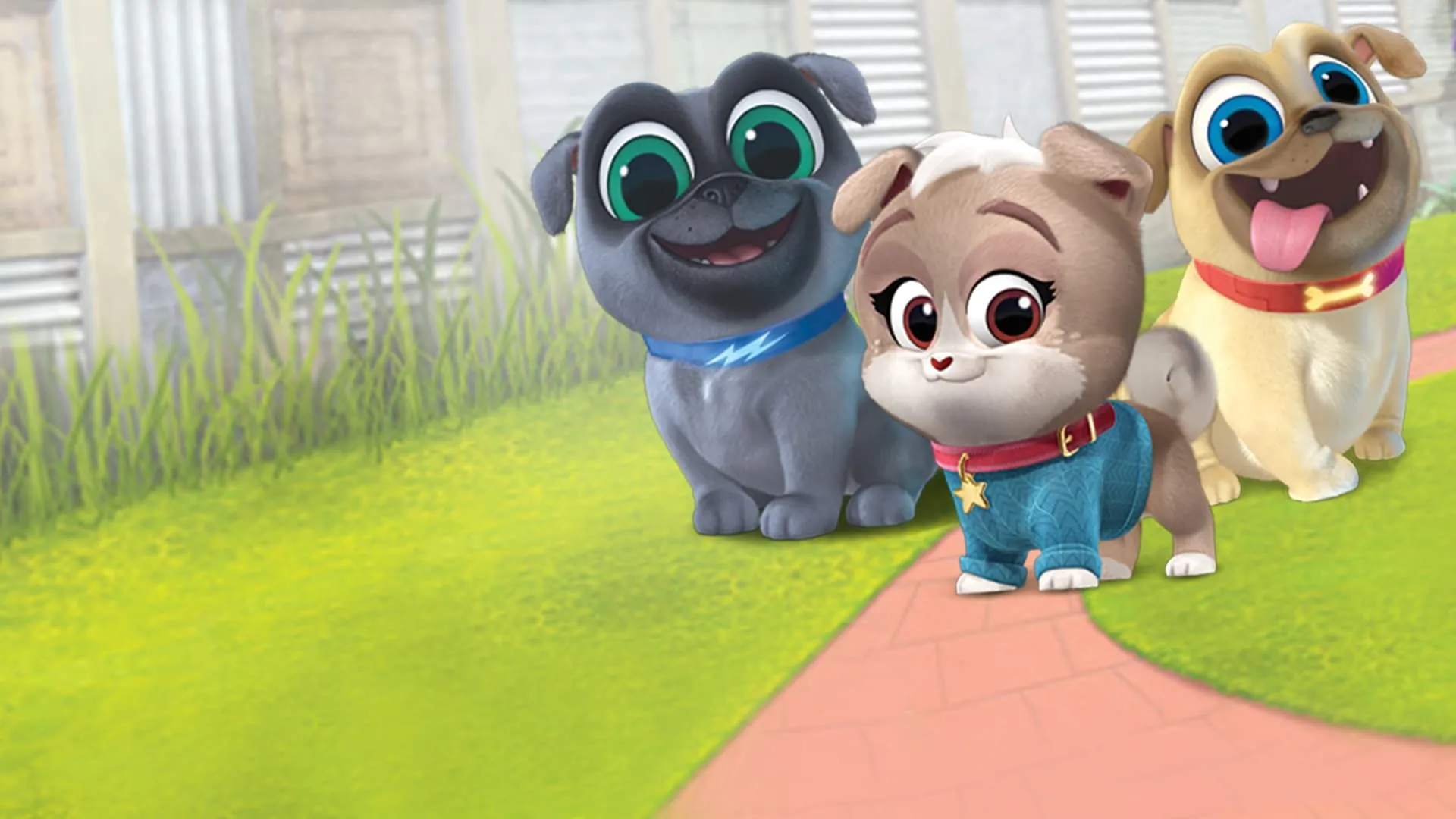 Playtime with Puppy Dog Pals