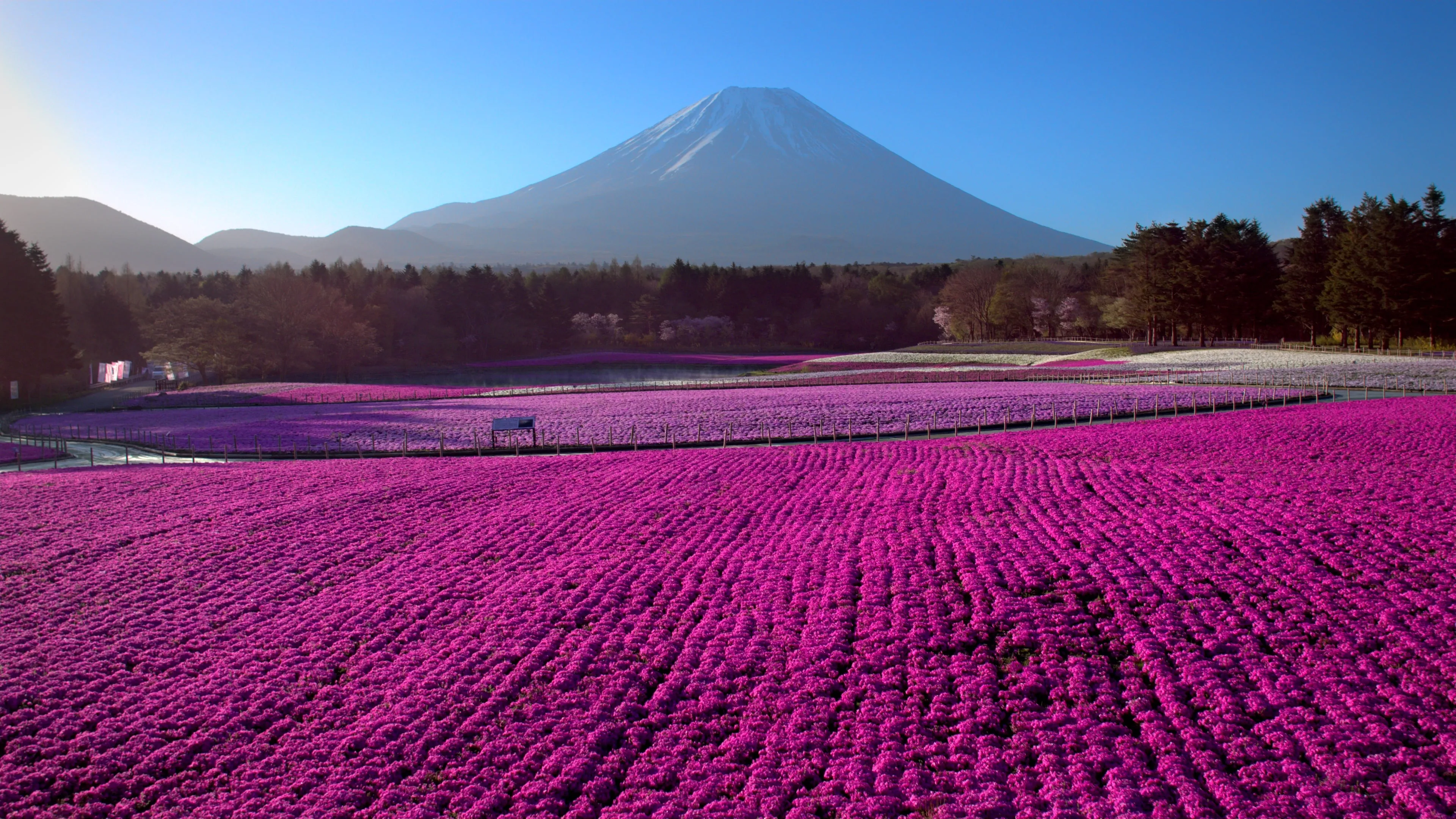 Japan from Above