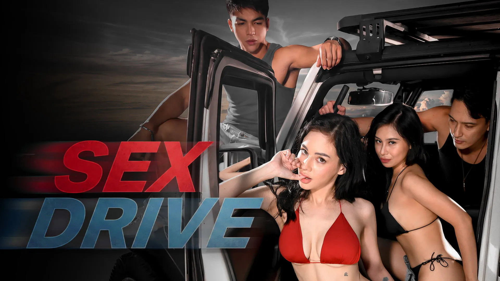 Sex Drive