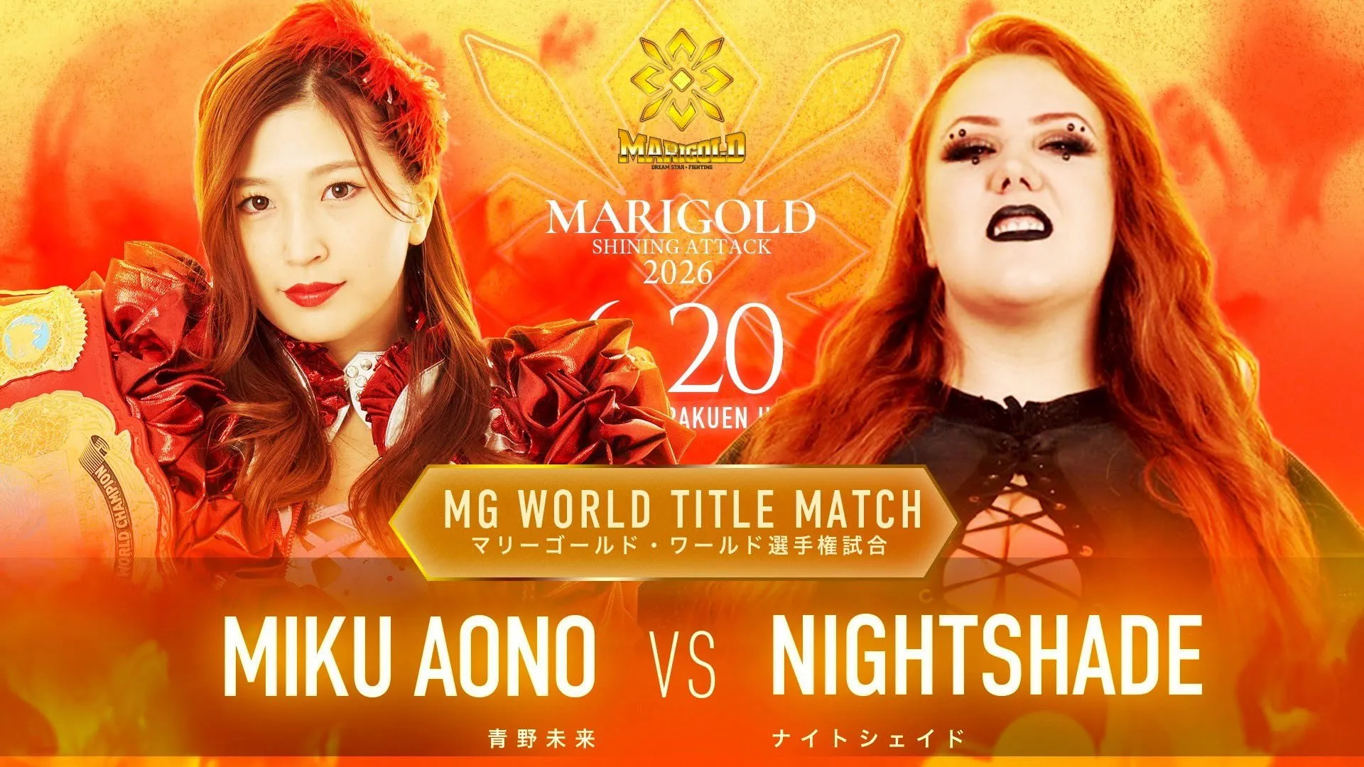 Marigold Shining Attack 2026 ~ Day 14