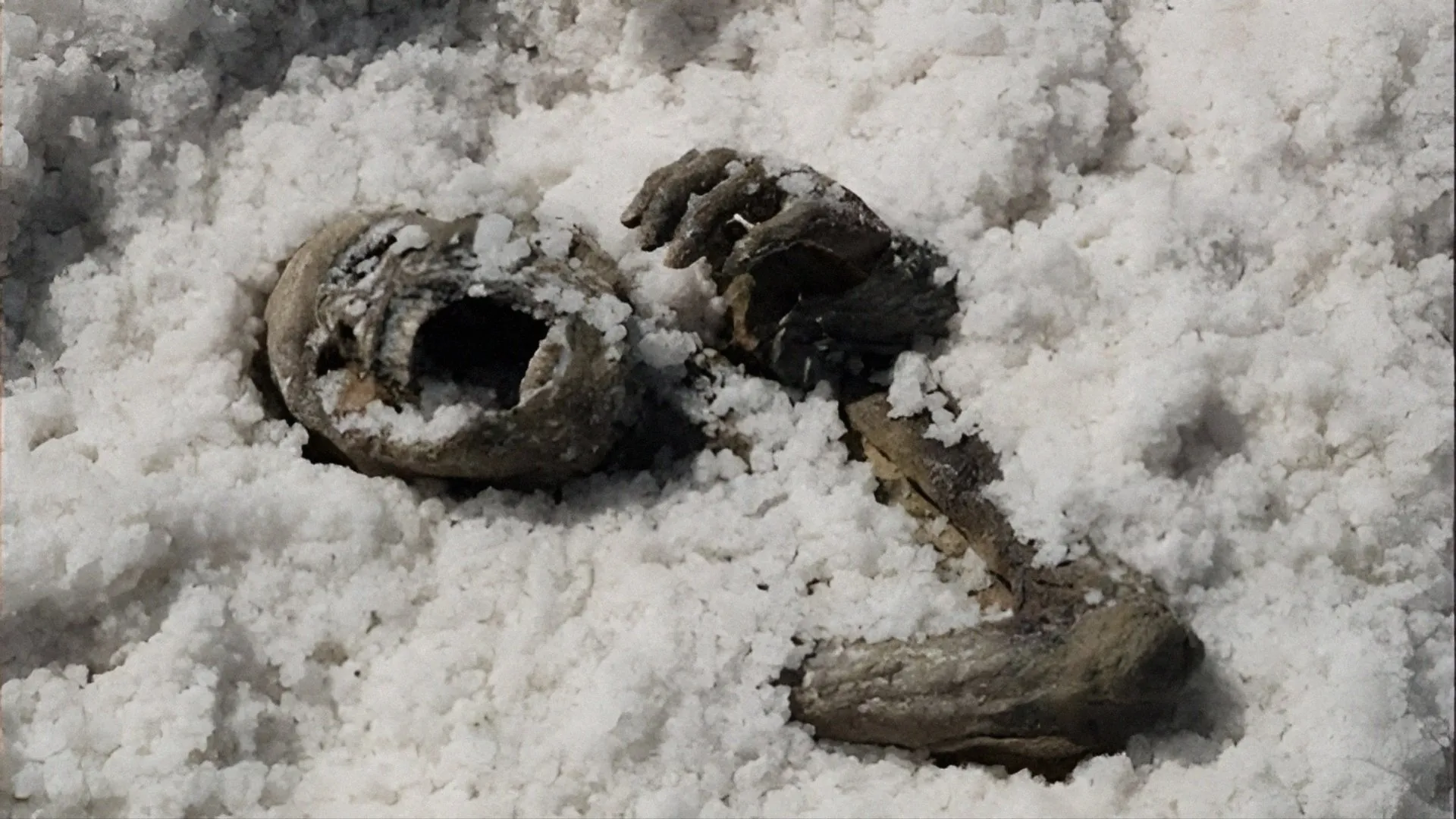 Under the Salt