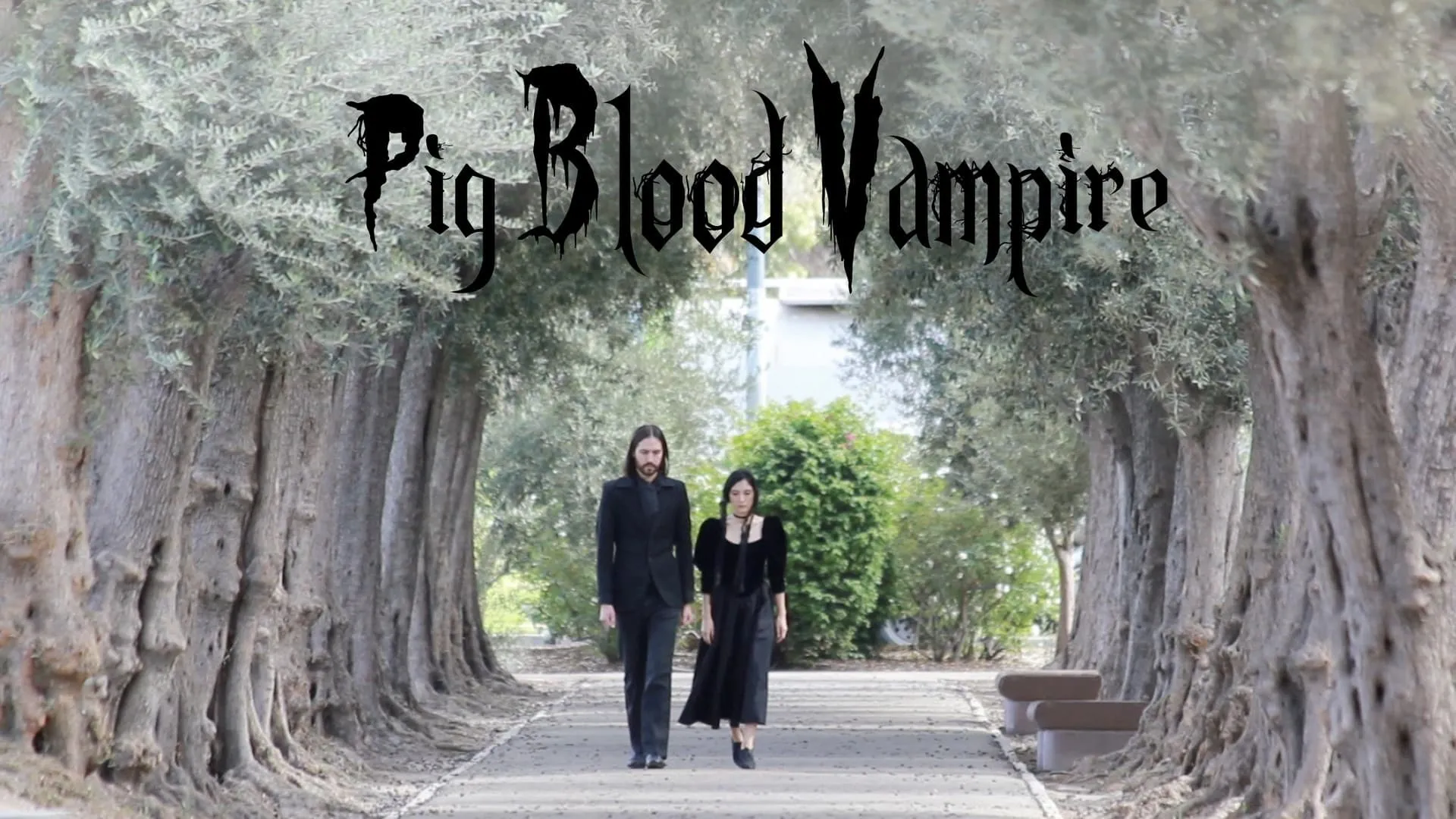 Pig Blood Vampire