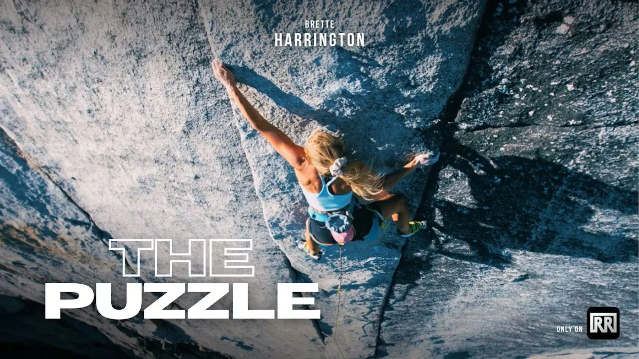 The Puzzle