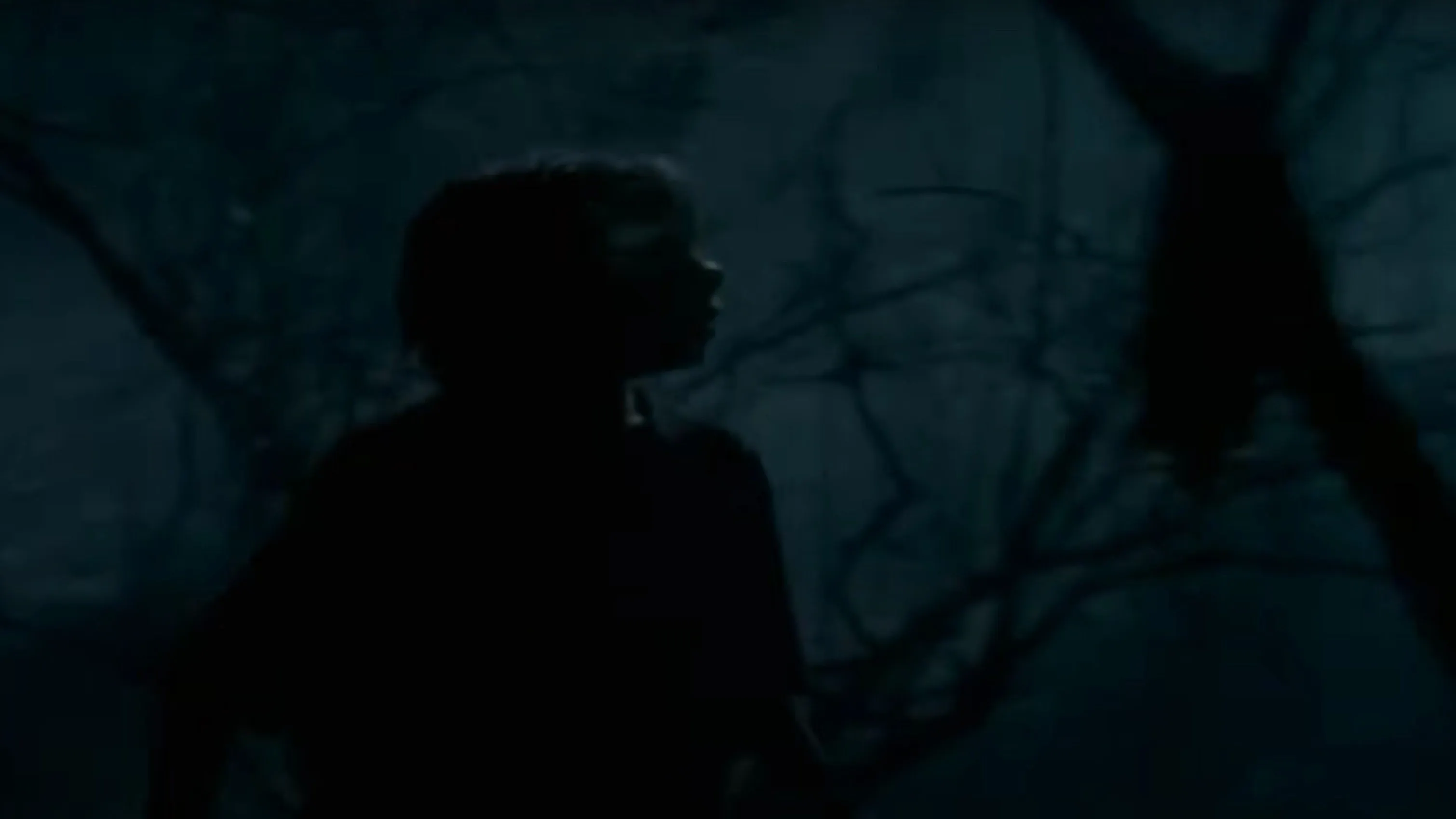 The Werewolf of Fever Swamp